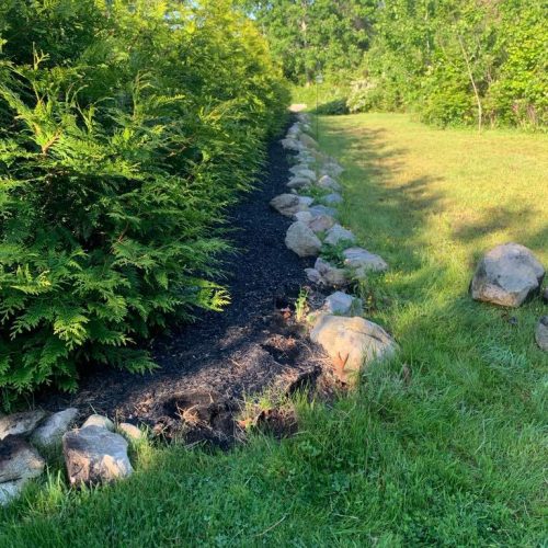 WhatsApp Image 2025-06-04 at 11.22.24 AM