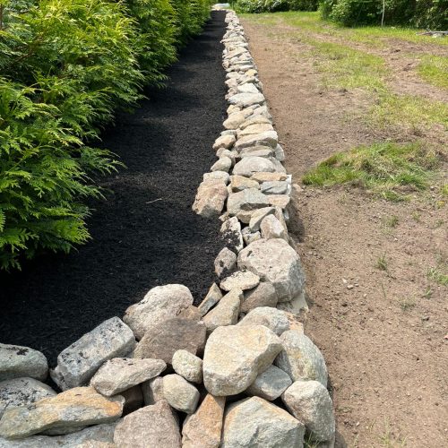 WhatsApp Image 2025-06-04 at 11.22.29 AM (1)